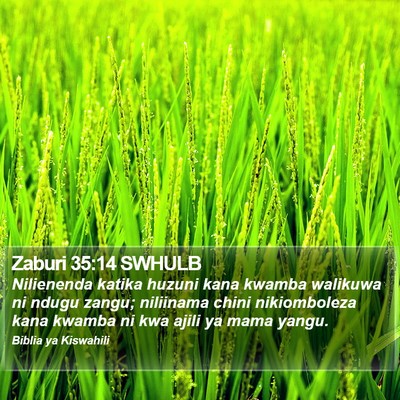 Zaburi 35:14 SWHULB Bible Verse Image