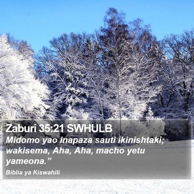 Zaburi 35:21 SWHULB Bible Verse Image