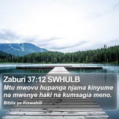 Zaburi 37:12 SWHULB Bible Verse Image