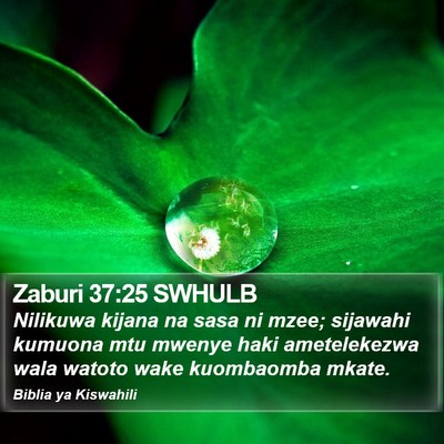 Zaburi 37:25 SWHULB Bible Verse Image