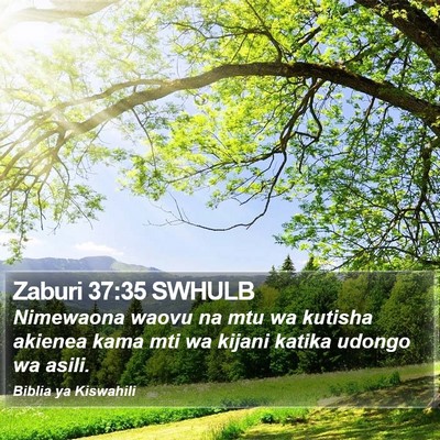 Zaburi 37:35 SWHULB Bible Verse Image