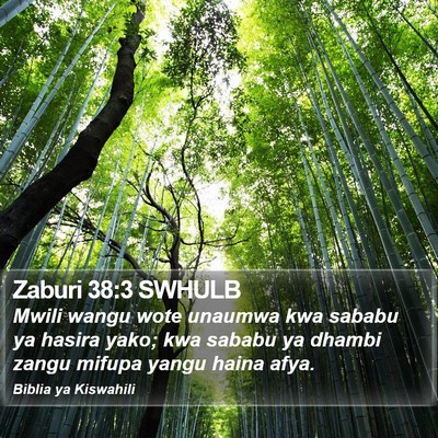 Zaburi 38:3 SWHULB Bible Verse Image