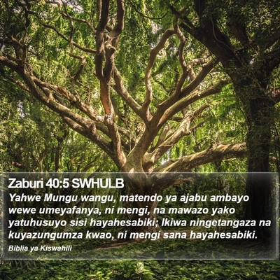 Zaburi 40:5 SWHULB Bible Verse Image