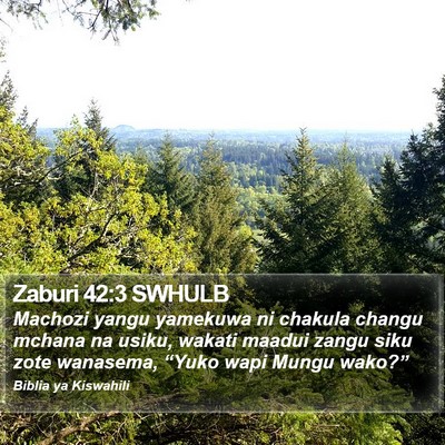 Zaburi 42:3 SWHULB Bible Verse Image