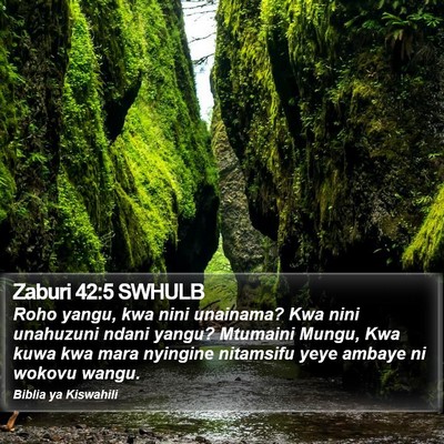 Zaburi 42:5 SWHULB Bible Verse Image