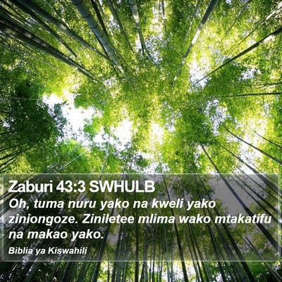 Zaburi 43:3 SWHULB Bible Verse Image