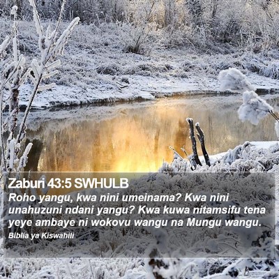 Zaburi 43:5 SWHULB Bible Verse Image