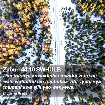 Zaburi 44:10 SWHULB Bible Verse Image
