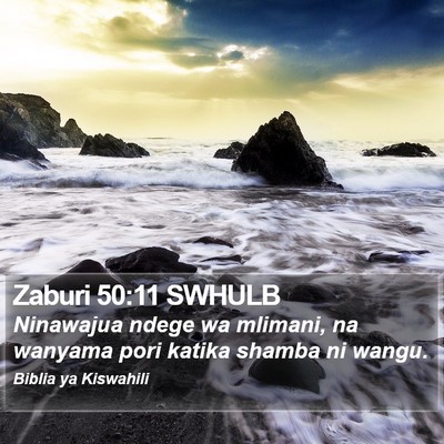 Zaburi 50:11 SWHULB Bible Verse Image
