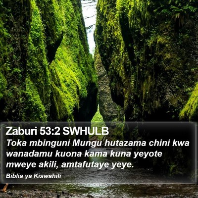 Zaburi 53:2 SWHULB Bible Verse Image