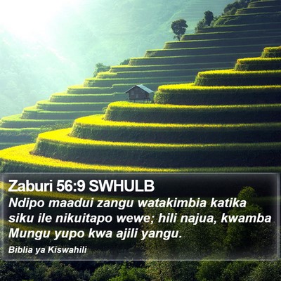 Zaburi 56:9 SWHULB Bible Verse Image