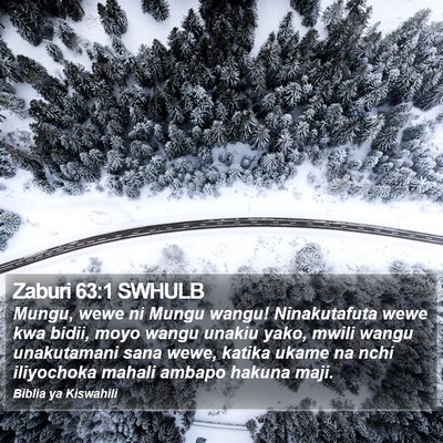 Zaburi 63:1 SWHULB Bible Verse Image