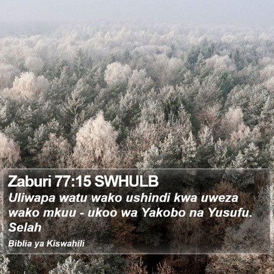 Zaburi 77:15 SWHULB Bible Verse Image