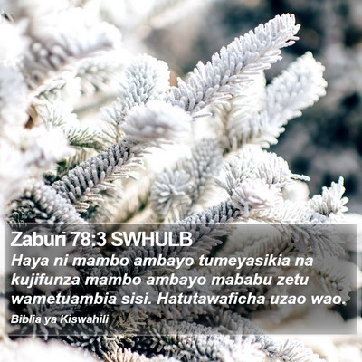 Zaburi 78:3 SWHULB Bible Verse Image