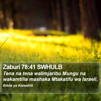 Zaburi 78:41 SWHULB Bible Verse Image