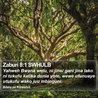 Zaburi 8:1 SWHULB Bible Verse Image