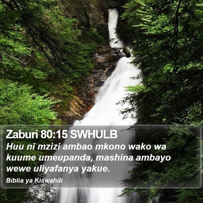 Zaburi 80:15 SWHULB Bible Verse Image