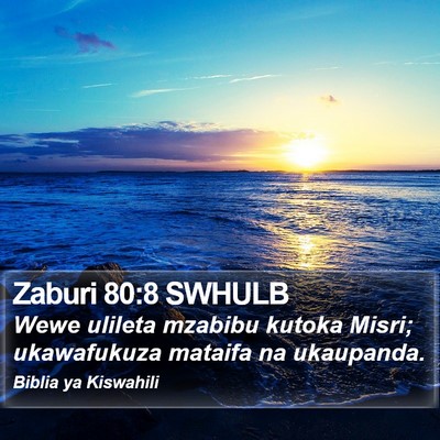 Zaburi 80:8 SWHULB Bible Verse Image