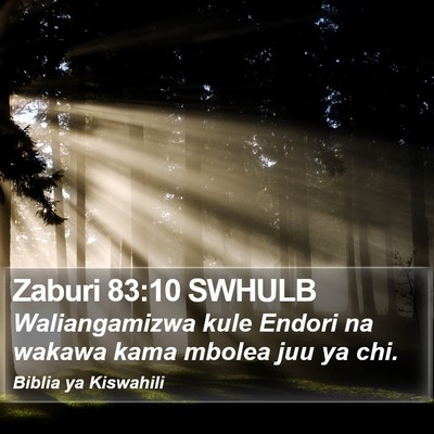 Zaburi 83:10 SWHULB Bible Verse Image