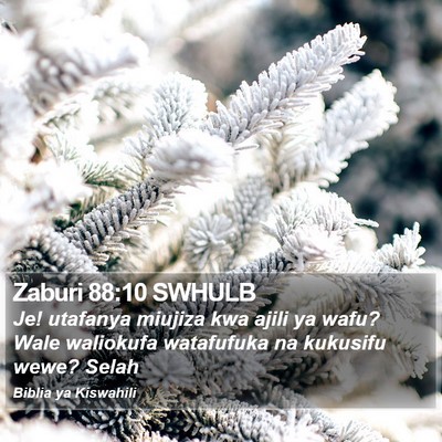 Zaburi 88:10 SWHULB Bible Verse Image