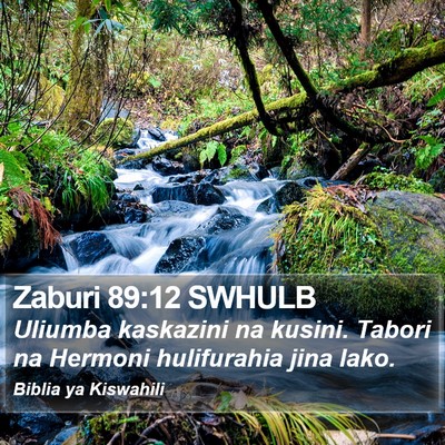 Zaburi 89:12 SWHULB Bible Verse Image
