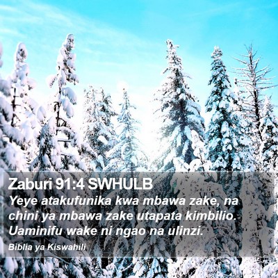 Zaburi 91:4 SWHULB Bible Verse Image