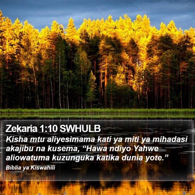 Zekaria 1:10 SWHULB Bible Verse Image