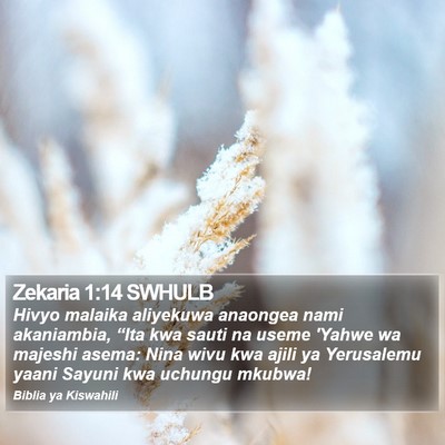 Zekaria 1:14 SWHULB Bible Verse Image
