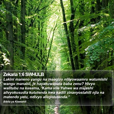 Zekaria 1:6 SWHULB Bible Verse Image