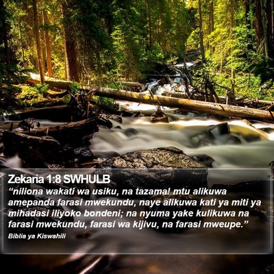 Zekaria 1:8 SWHULB Bible Verse Image