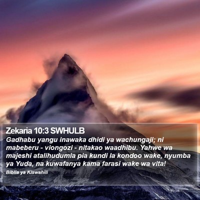 Zekaria 10:3 SWHULB Bible Verse Image