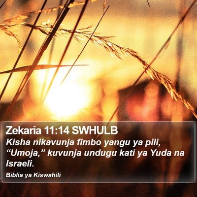 Zekaria 11:14 SWHULB Bible Verse Image