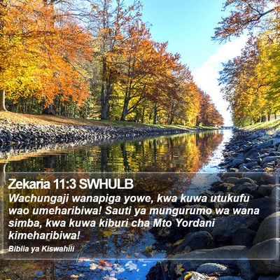 Zekaria 11:3 SWHULB Bible Verse Image