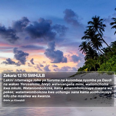Zekaria 12:10 SWHULB Bible Verse Image