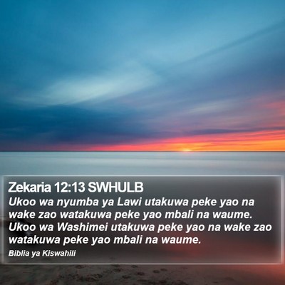Zekaria 12:13 SWHULB Bible Verse Image