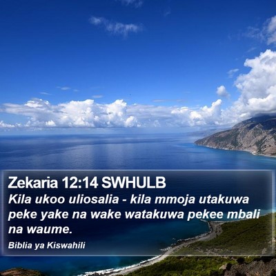 Zekaria 12:14 SWHULB Bible Verse Image