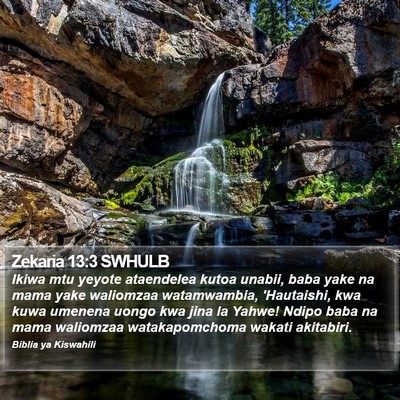 Zekaria 13:3 SWHULB Bible Verse Image