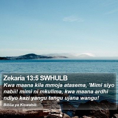 Zekaria 13:5 SWHULB Bible Verse Image