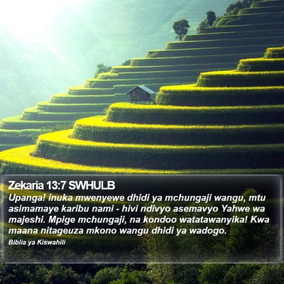 Zekaria 13:7 SWHULB Bible Verse Image