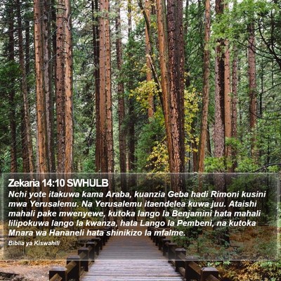 Zekaria 14:10 SWHULB Bible Verse Image