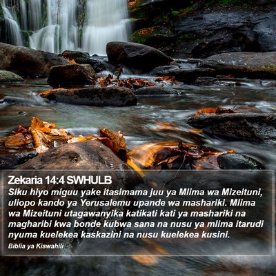 Zekaria 14:4 SWHULB Bible Verse Image