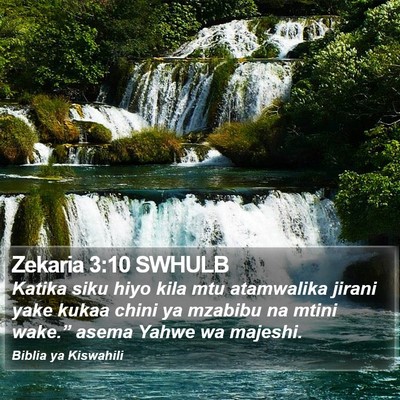 Zekaria 3:10 SWHULB Bible Verse Image