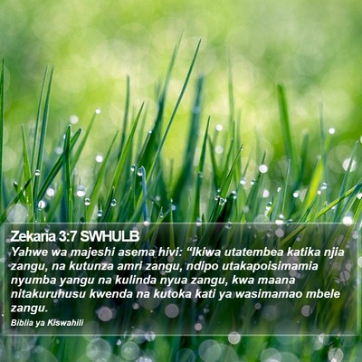Zekaria 3:7 SWHULB Bible Verse Image