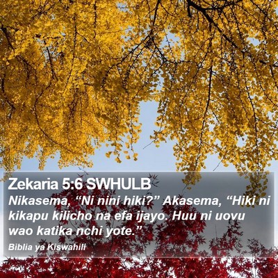 Zekaria 5:6 SWHULB Bible Verse Image