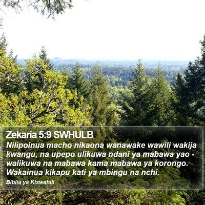 Zekaria 5:9 SWHULB Bible Verse Image