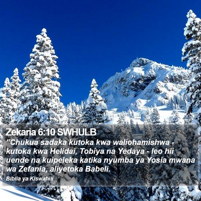 Zekaria 6:10 SWHULB Bible Verse Image