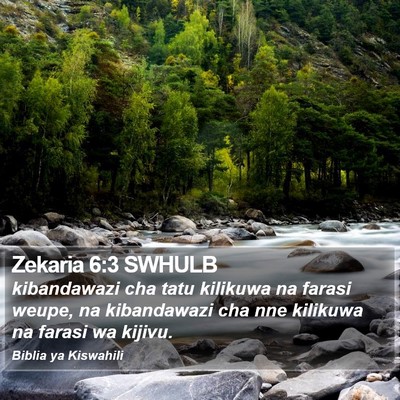 Zekaria 6:3 SWHULB Bible Verse Image