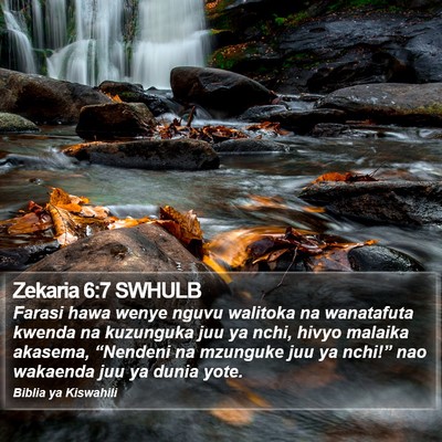 Zekaria 6:7 SWHULB Bible Verse Image