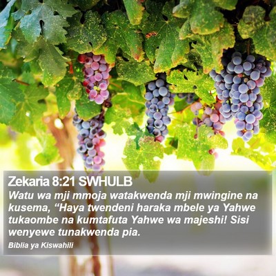 Zekaria 8:21 SWHULB Bible Verse Image