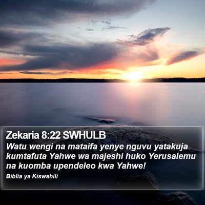 Zekaria 8:22 SWHULB Bible Verse Image